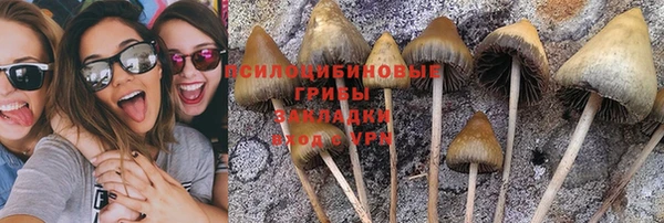гидропоника Балабаново