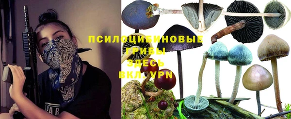 гидропоника Балабаново